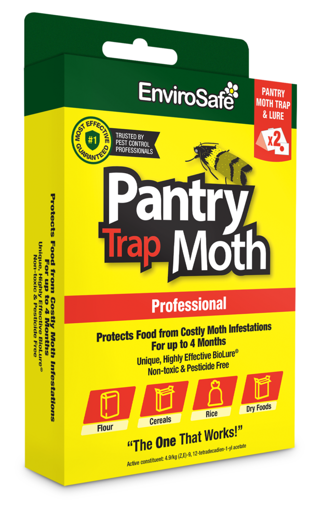pantry moths