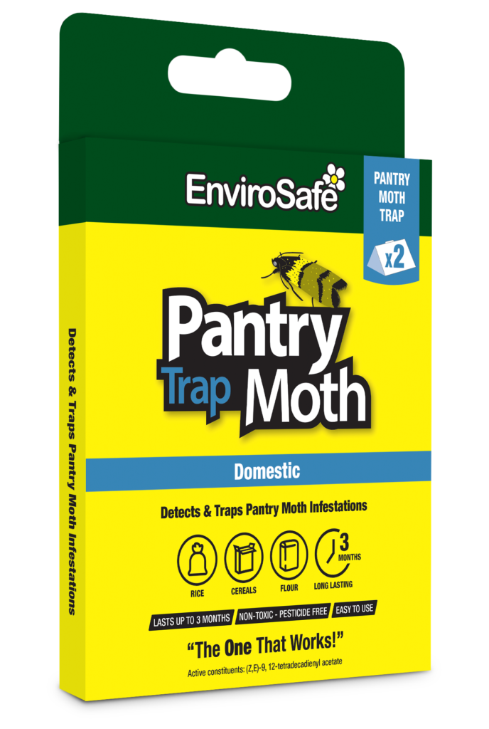 pantry moths
