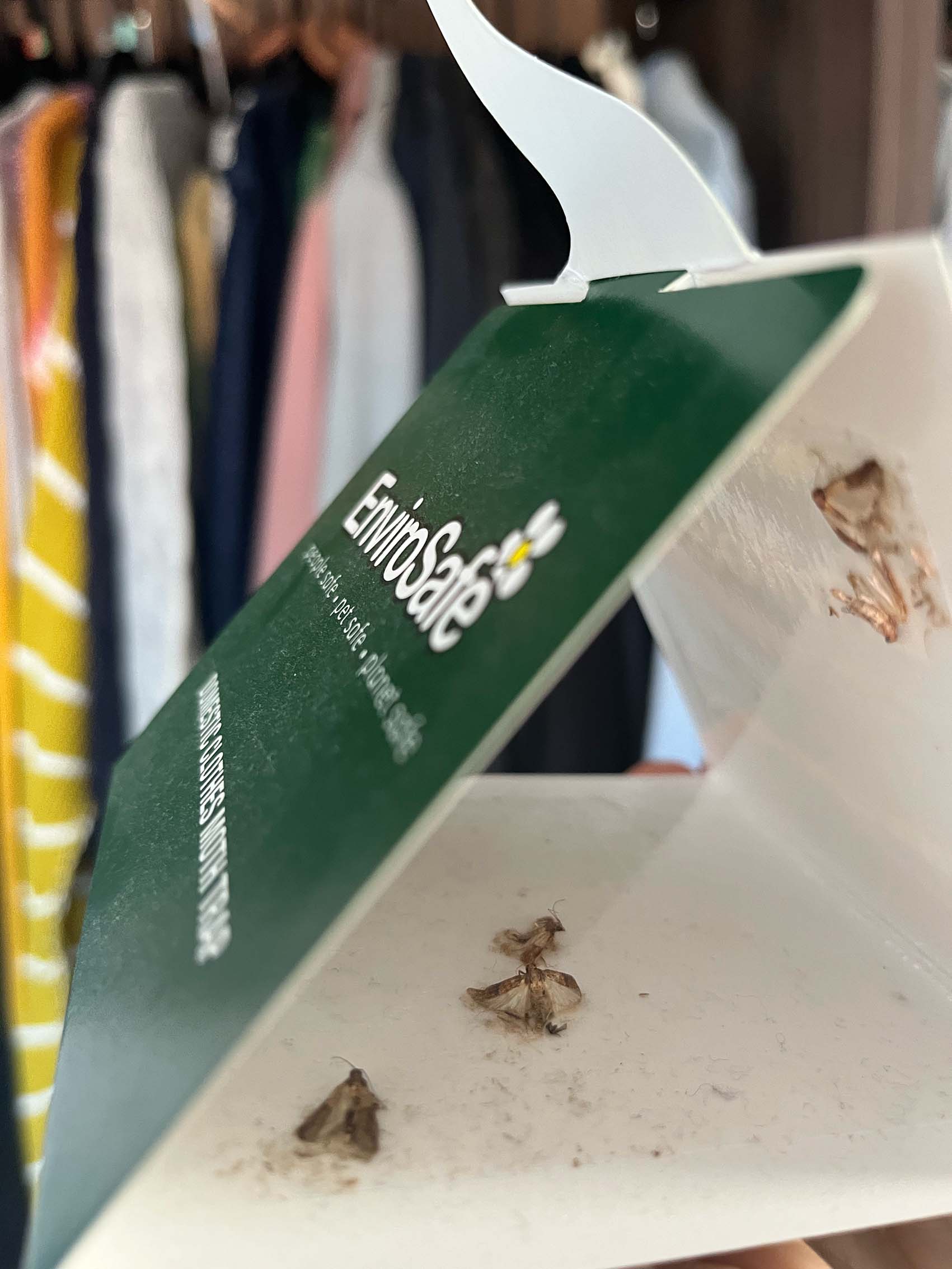 How to Use The Envirosafe Clothes Moth Trap 